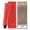 IGORA ROYAL-Cabello-IGORA ROYAL-TU beauty store