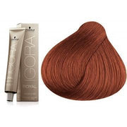IGORA ROYAL-Cabello-IGORA ROYAL-TU beauty store