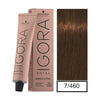 Igora Royal Absolutes-Cabello-IGORA ABSOLUT-TU beauty store