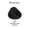 ALFAPARF EVOLUTION TINTES-Cabello-ALFAPARF EVOLUTION-7898468500452-TU beauty store