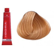 IGORA ROYAL-Cabello-IGORA ROYAL-TU beauty store