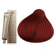 IGORA ROYAL-Cabello-IGORA ROYAL-TU beauty store