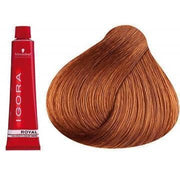 IGORA ROYAL-Cabello-IGORA ROYAL-TU beauty store