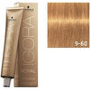 Igora Royal Absolutes-Cabello-IGORA ABSOLUT-7702045548938-TU beauty store