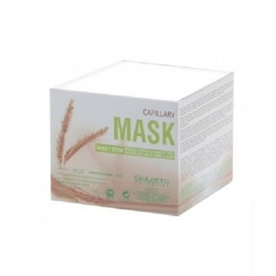 SALERM HAIR MASK GERMEN DE TRIGO 200 ML-Cabello-SALERM-TU beauty store