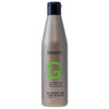 Salerm Greasy hair Shampoo-Cabello-SALERM-8420282010450-TU beauty store