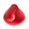 Tinte benplus tubo escoge color-Cabello-BENPLUS-TU beauty store