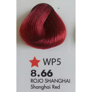 Tinte benplus tubo escoge color-Cabello-BENPLUS-TU beauty store