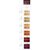 Tintura Igora Royal fashion lights-Cabello-IGORA FASHION-TU beauty store